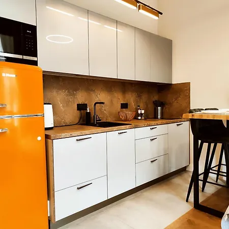 New Luxury In The Center ריגה